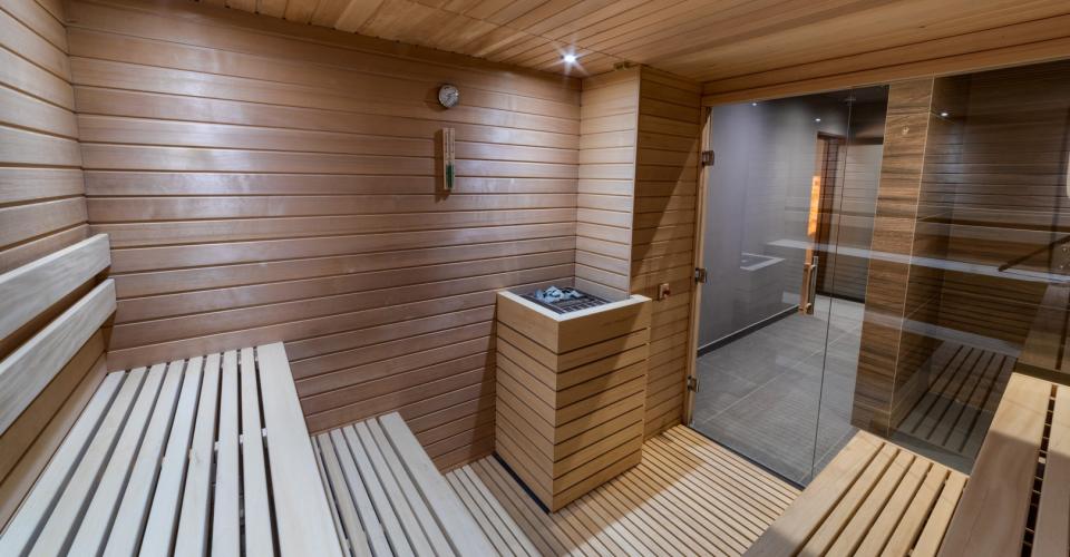 A Finnish and a Bio Sauna